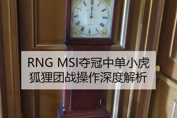 RNG MSI夺冠中单小虎狐狸团战操作深度解析