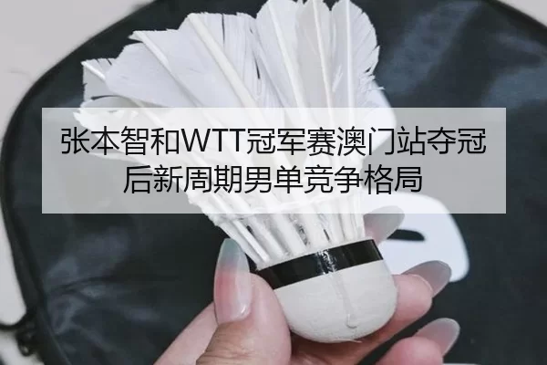 张本智和WTT冠军赛澳门站夺冠后新周期男单竞争格局